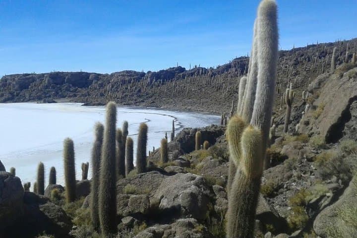 Two-Day Private Tour: Uyuni Salt Flats and Tunupa Volcano photo 2