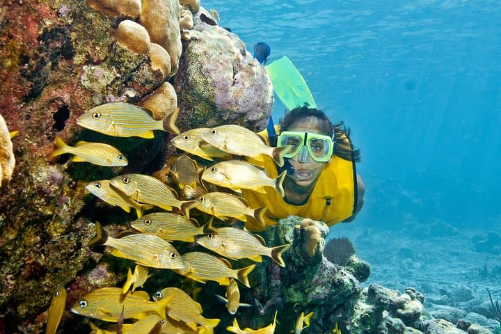 Mayan Adventure: Snorkel Yal-Ku Lagoon and Jungle Cenotes from Playa del Carmen