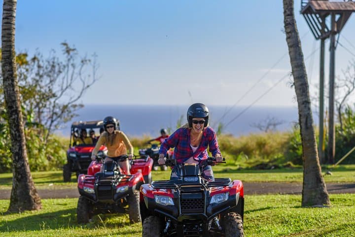 Umauma Falls ATV Tour: Hamakua Coast Waterfall Swim & Scenic 4x4 Ride photo 6