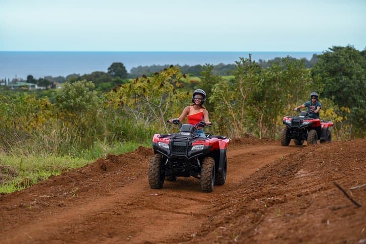 Umauma Falls ATV Tour: Hamakua Coast Waterfall Swim & Scenic 4x4 Ride photo 3