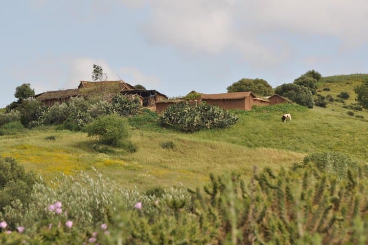 Ride the Marrakech Express: 8-Day Morocco Train, Medinas & Atlas Adventure photo 5