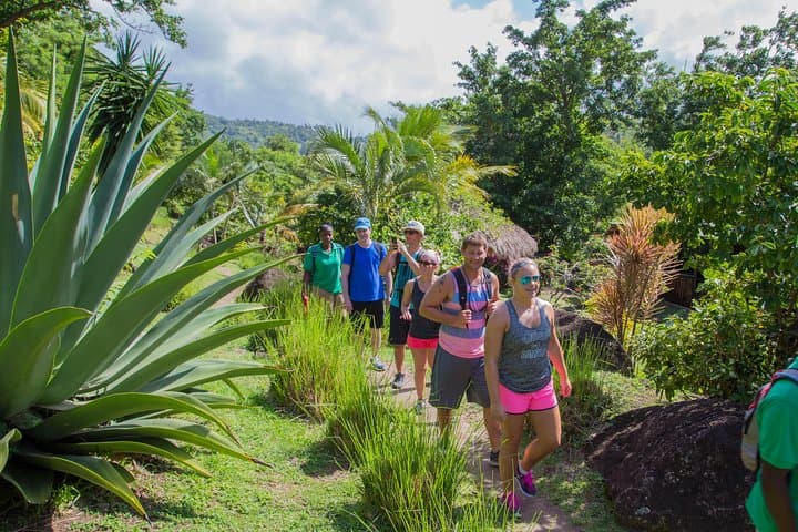 Gros Piton Hike: Summit St. Lucia’s Iconic Peak in a Day photo 4
