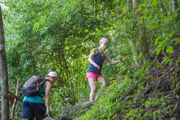 Gros Piton Hike: Summit St. Lucia’s Iconic Peak in a Day photo 5