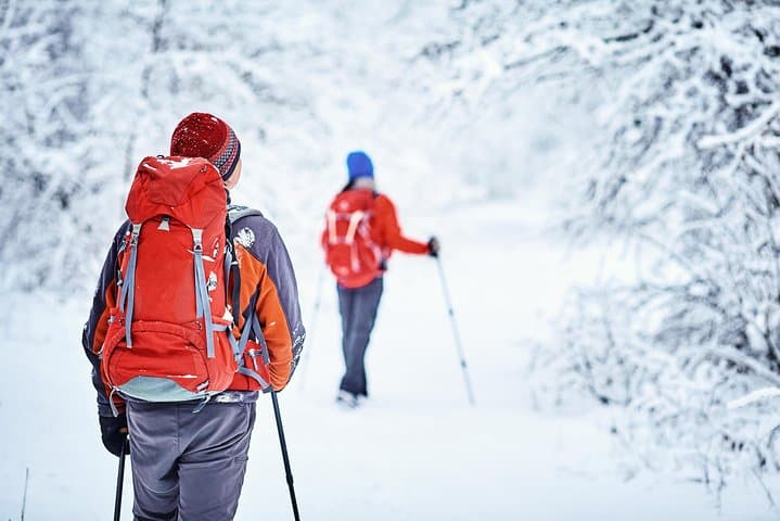 Snowshoeing in Lofoten: 3-Hour Arctic Walk from Svolvær photo 2