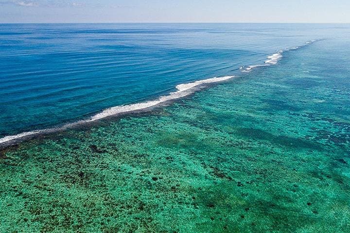 Sian Ka'an Biosphere Reserve Boat & Snorkel Safari from Tulum photo 5