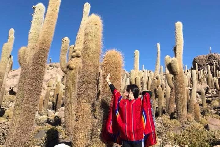 4-Day Private Bolivia Tour: La Paz, Titicaca & Salar de Uyuni photo 3