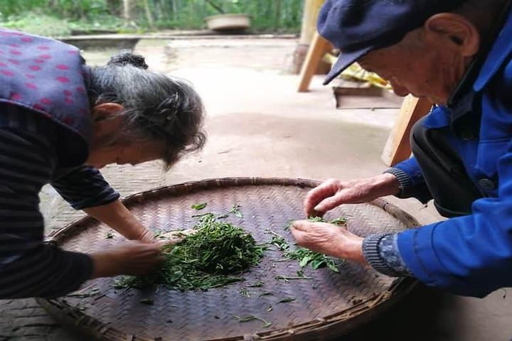 Leshan Giant Buddha and Tea Village Day Tour from Chengdu photo 4
