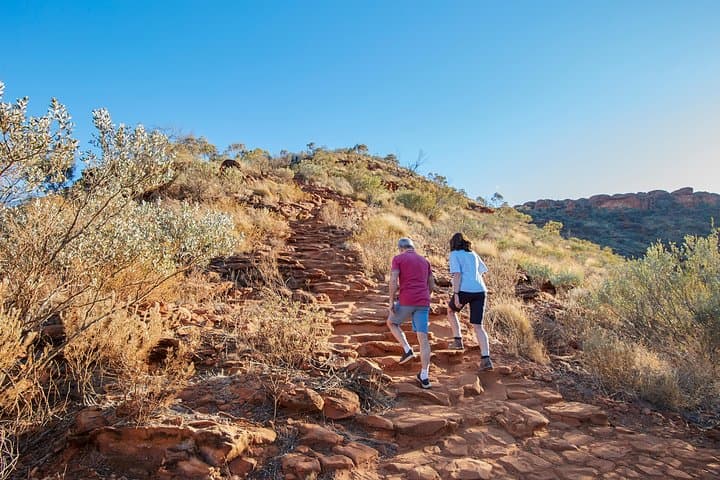 Kings Canyon Day Trip from Uluru — Rim Walk, Creek Bed & Outback Station photo 5