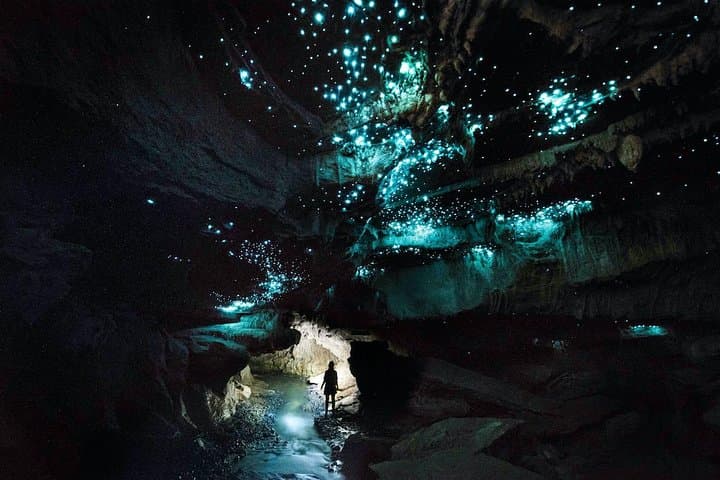 Waitomo Hidden Caving Tour — Small-Group Glowworm Adventure in Private Caves