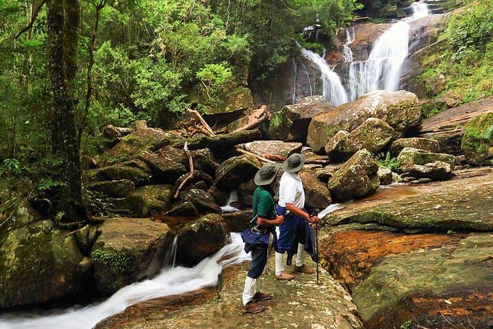 8-Day Private Sri Lanka Wildlife & Adventure Tour from Colombo photo 4