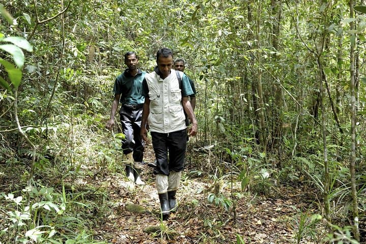 Overnight Sinharaja Rainforest Trek — Private All-Inclusive Eco Lodge Experience photo 4