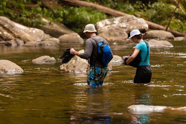 Overnight Sinharaja Rainforest Trek — Private All-Inclusive Eco Lodge Experience photo 5