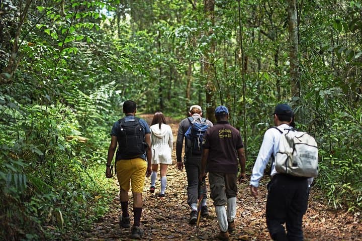 Overnight Sinharaja Rainforest Trek — Private All-Inclusive Eco Lodge Experience photo 6