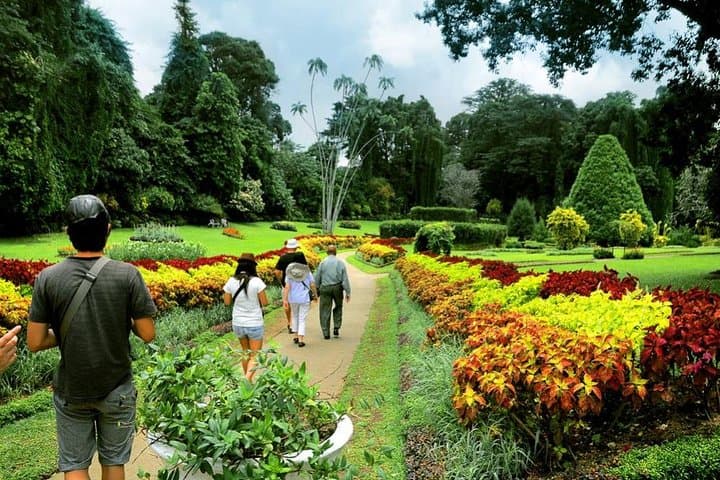 Private Kandy Day Tour from Bentota & Beruwela: Peradeniya Gardens, Temple and Tea photo 4