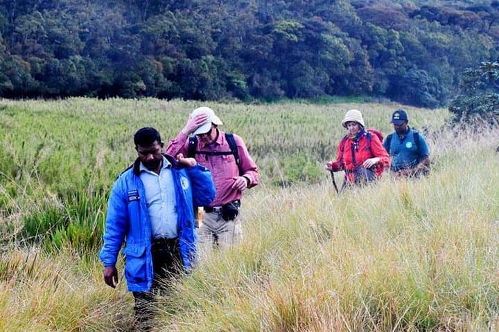 Summit Kirigalpoththa: Private Hike Through Horton Plains National Park photo 3