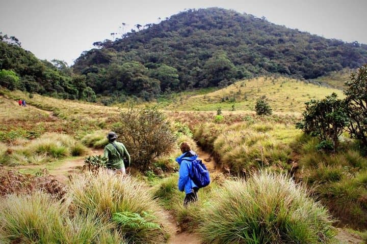 Summit Kirigalpoththa: Private Hike Through Horton Plains National Park photo 6