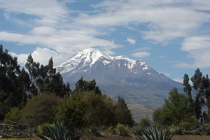 4 Days Guayaquil to Baños — Cajas, Cuenca & Chimborazo photo 6