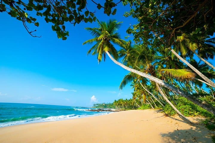 9-Day Amazing Sri Lanka Tour: Culture, Wildlife & Beaches