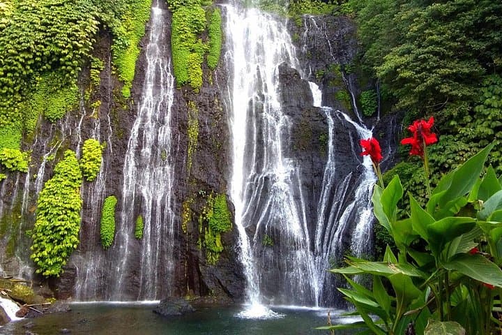 Bali Most Instagrammable Photo Tour — Ubud to Handara Gate & Banyumala Waterfall photo 3