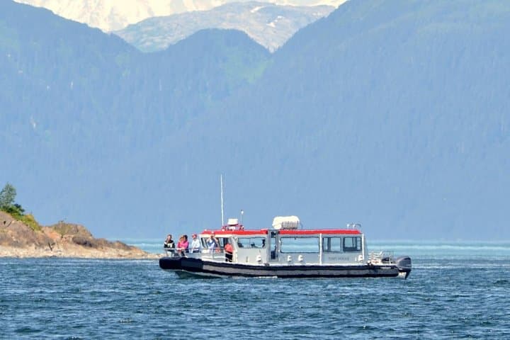 Guaranteed Whale Watching Adventure: 3-Hour Icy Strait Point Whale Cruise photo 2