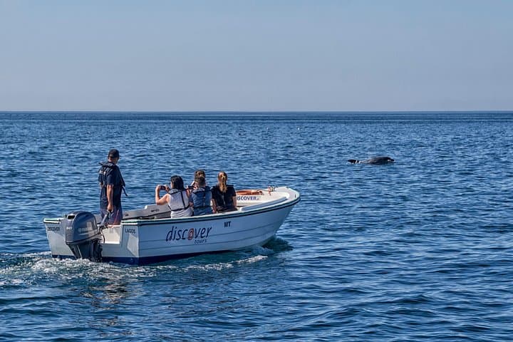 Ponta da Piedade Speedboat Cruise: Caves, Sea Stacks & Golden Beaches photo 2