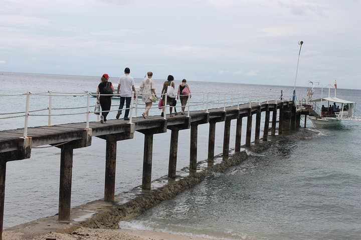 Oslob Whale Shark Swim and Sumilon Island Day Trip from Cebu photo 6