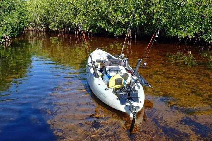 Paddle and Fish Bali's Mangrove Forest: Canoe Eco Tour from Kuta photo 6
