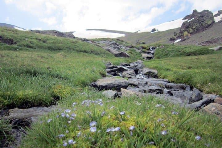 Sierra Nevada Day Trip from Granada: Explore Mulhacén, Alpine Lagoons & High Mountain Meadows photo 3