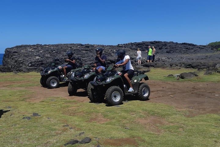 South Mauritius 35km Quad Excursion — Beaches, Natural Bridge & Royal Palms photo 3