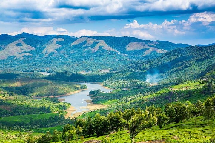 Kerala Backwaters & Western Ghats: 8-Day Private Tour from Kochi