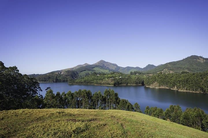 Kerala Backwaters & Western Ghats: 8-Day Private Tour from Kochi photo 3