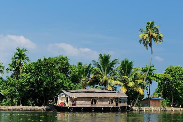 Kerala Backwaters & Western Ghats: 8-Day Private Tour from Kochi photo 4