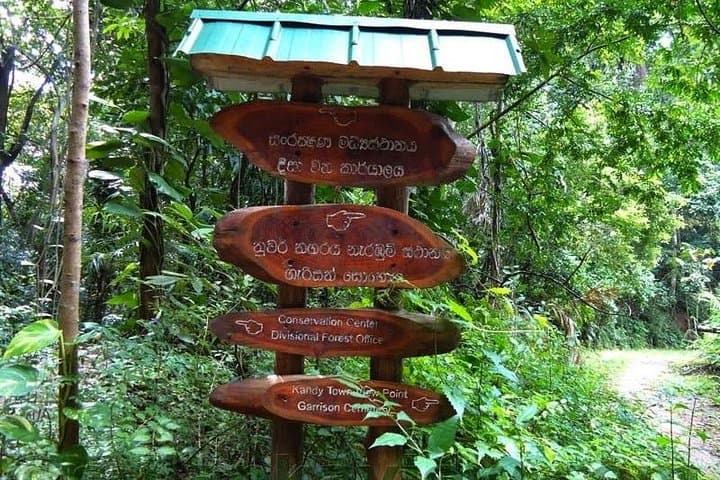 Udawatte Kele Sanctuary: Private Birdwatching & Nature Trekking in Kandy photo 4