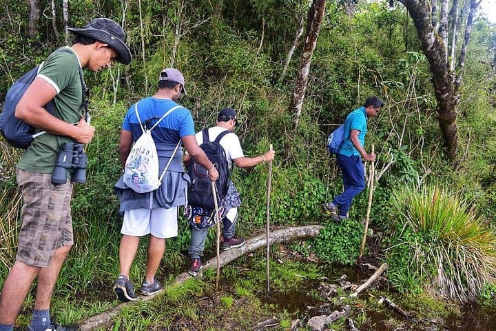 3-Day Vedda Village and Gal Oya National Park Tour — Cultural Stay, Waterfall Trek & Safaris photo 4