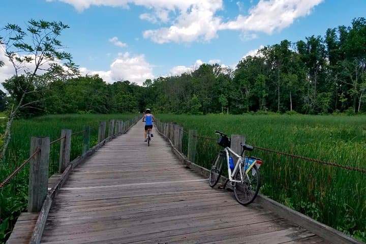 Explore Mount Vernon by Bike: Scenic Ride and Optional Potomac River Cruise photo 5