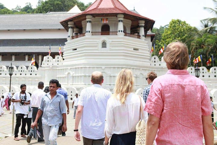 Private Kandy Day Tour from Bentota & Beruwela: Peradeniya Gardens, Temple and Tea photo 3