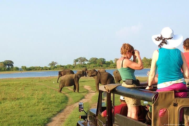 Polonnaruwa Ancient City & Minneriya Safari: Full-Day Cultural and Wildlife Tour from Colombo