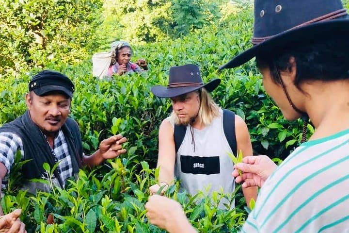 4-Day Nature & Adventure Tour: Kandy, Kitulgala & Belihuloya, Sri Lanka photo 3
