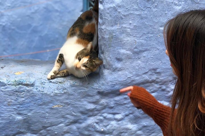 Fez to Chefchaouen Day Trip: Blue Medina, Ras El-Maa & Mountain Views photo 4