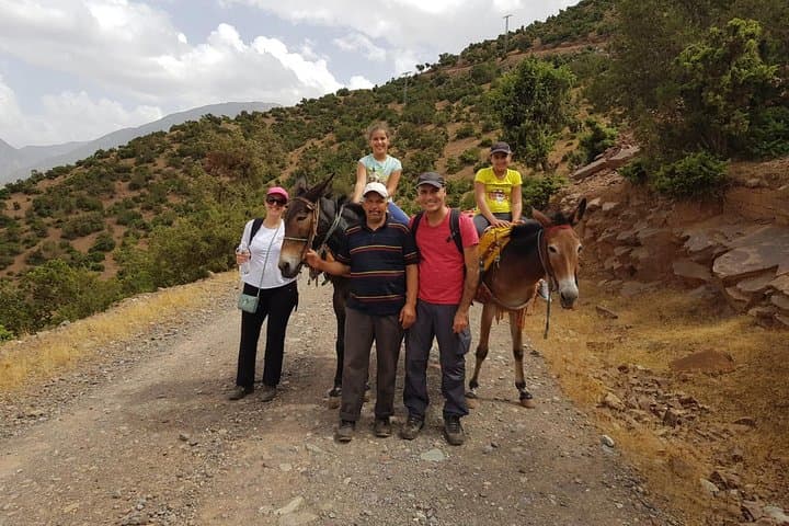 Ouirgane Mule Trek: Day Hike through Berber Villages & Olive Terraces photo 2