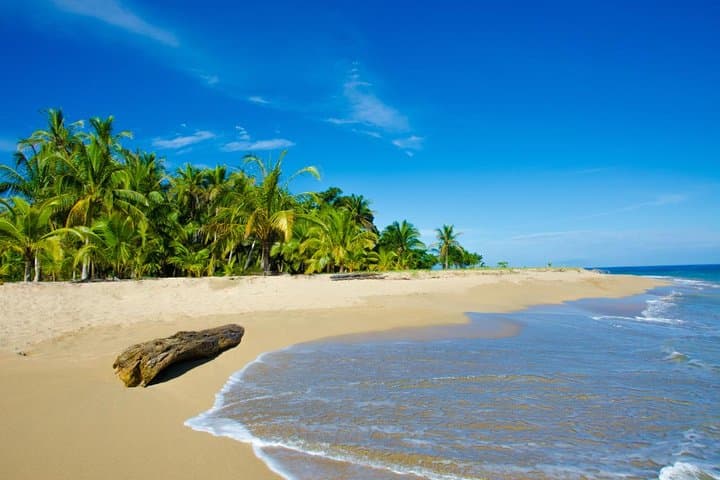 Coast-to-Coast Costa Rica: 10-Day Self-Drive from San José photo 5
