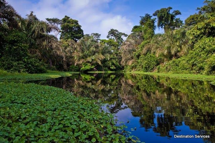 Coast-to-Coast Costa Rica: 10-Day Self-Drive from San José