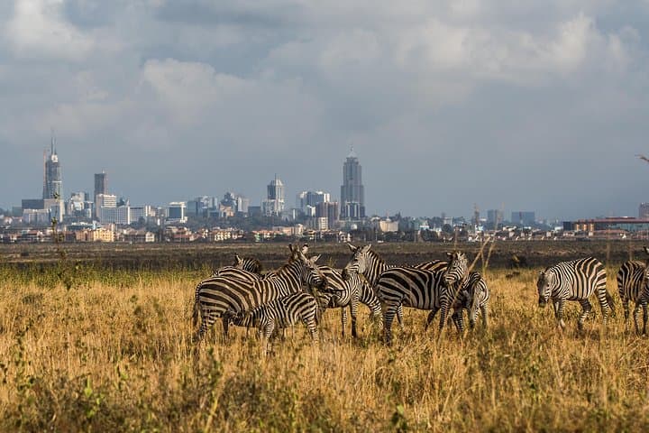 Discover Nairobi National Park: Wildlife Safari and Giraffe Centre Experience