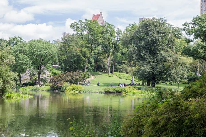 Central Park Guided Walking Tour: Insider History, Wildlife & Best Routes photo 4