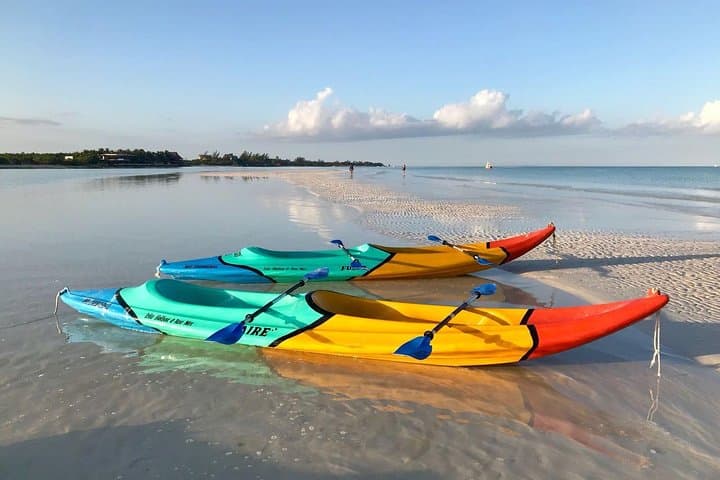 Explore Isla Holbox Mangroves: A Guided Kayaking Adventure photo 4