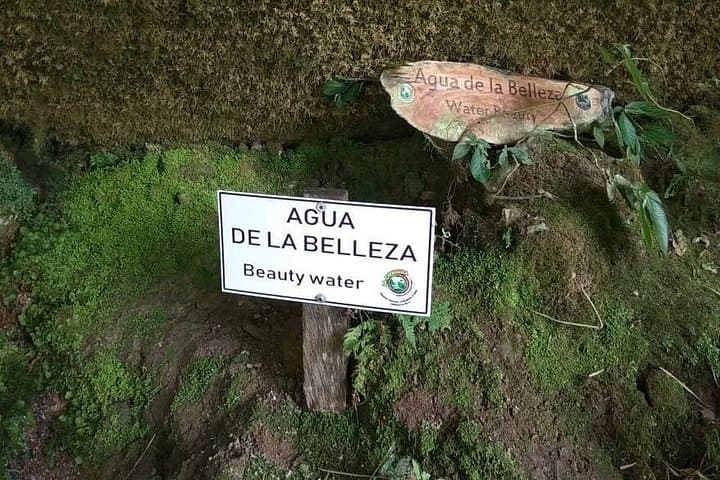 La Chorrera Waterfall Private Day Tour from Bogotá — Hike to Colombia’s Highest Cascade photo 4