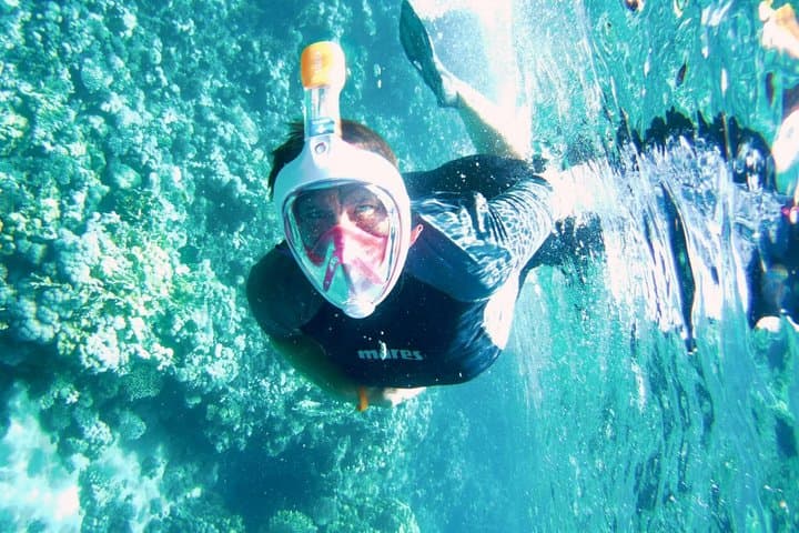 Tiran Island Snorkel Boat Trip from Sharm el Sheikh — Day Cruise to the Reefs photo 4