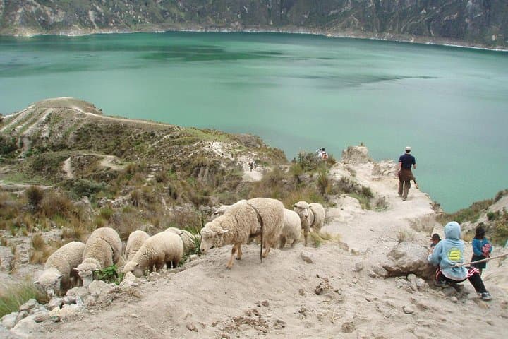 Quilotoa & Baños: 2-Day Private Andean Adventure from Quito photo 6