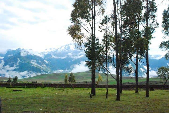 Maras & Moray Sacred Valley: Peruvian Paso Horseback Riding and Salt Terraces Private Tour photo 6