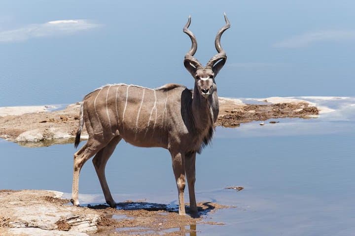 16-Day Namibia Highlights: Sossusvlei, Etosha & Himba Cultural Encounters photo 3